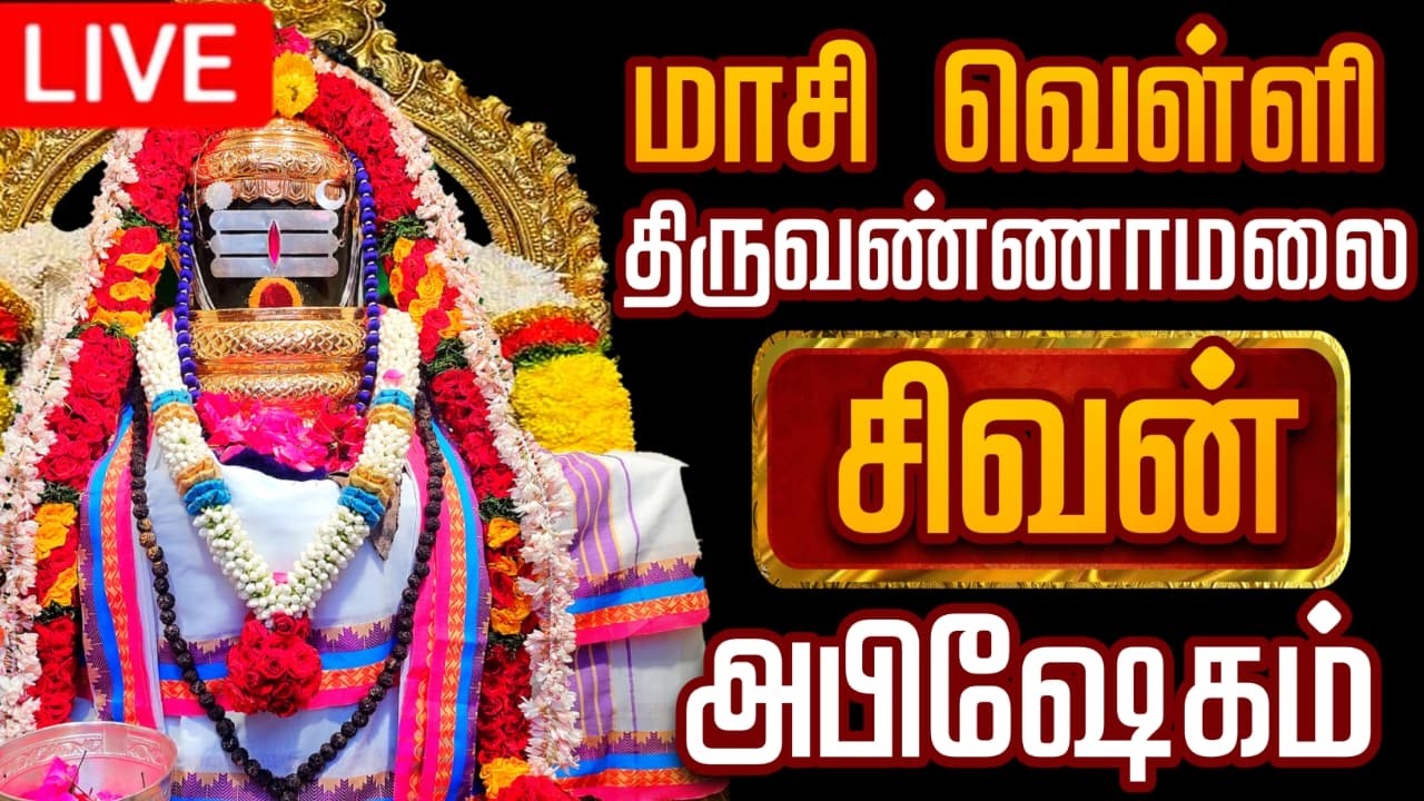 🔴LIVE திருவண்ணாமலை சிவன் மஹா அபிஷேக காட்சி பாருங்க! | Sivan Abhishekam #sivan  #abhishekam