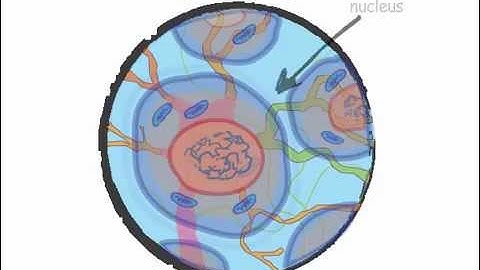 Genetics 101 (Part 1 of 5): What are genes?