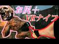 VRナイフ＋お尻だけ狙う＝最強！ノーダメージ撃破【バイオハザードRe4】VSエルヒガンテ（巨人）