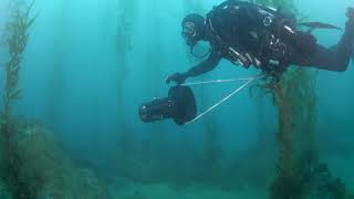 Southern California February 2019 - Paragon Dive Adventures
