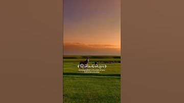 {واصبر لحكم ربك فإنك بأعيننا} تلاوت سالم الرويلي| سورة الطور الأيات(48)-(49)•
