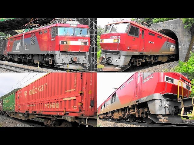 eh500 金太郎　プレート　貨物列車 2019,7,25 貨物列車いろいろいっぱい15本 大迫力モーター音と