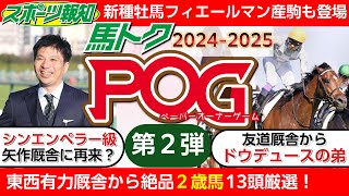 【POG情報2024-2025】最新2歳馬を13頭厳選！ドウデュースの弟、初のフィエールマン産駒、シンエンペラー級の良血など…#競馬 #pog #2歳馬情報