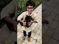 kitten #cat #viralvideo #funny #viral #comedy #india #pets #tranding #love #dailyvlog