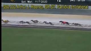 PALM BEACH KENNEL CLUB $50,000 ARTHUR J. ROONEY, SR. ST. PATRICK'S INVITATIONAL