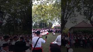 Zés Pereiras de Antas.