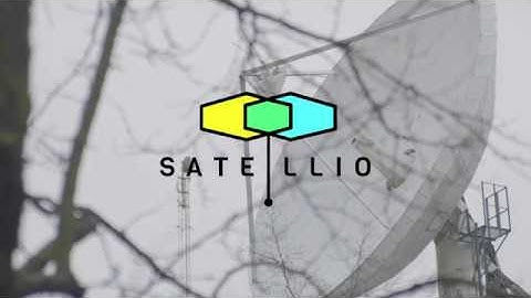 Satellio brings satellite data with AI for the global forestry industry – Business Finland presents