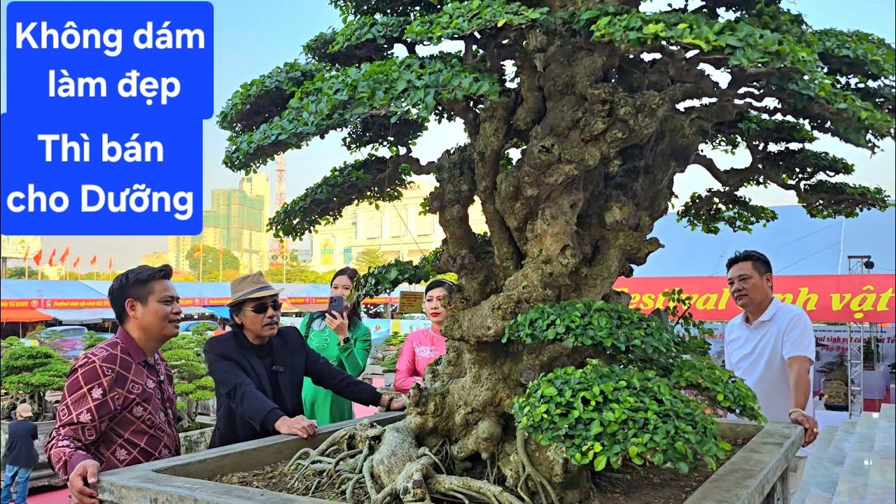 Mọi người vây kín để xem cây duối đẹp tốp đầu Việt Nam 