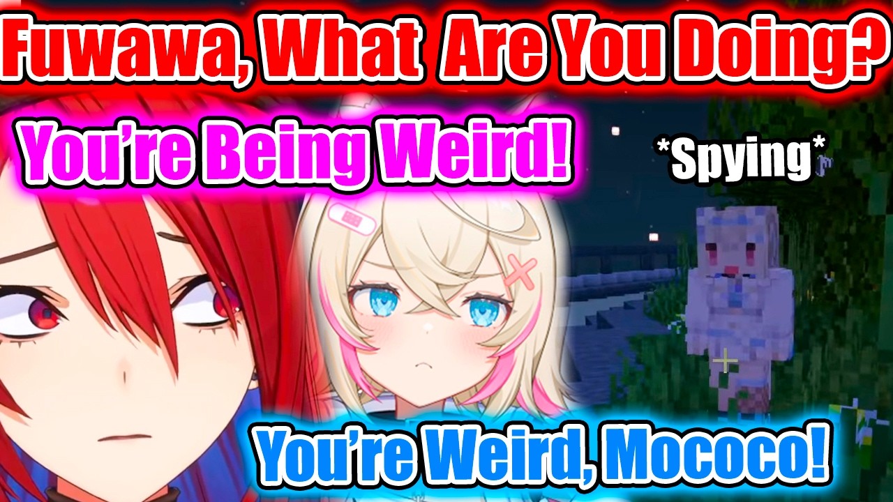 Liz Caught Fuwawa Spying On Mococo Even Now That They’re Not Related…