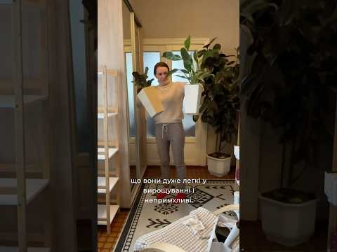 #garden #вирощувати #diy