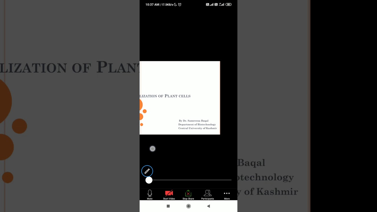 Immobilization of plant cells