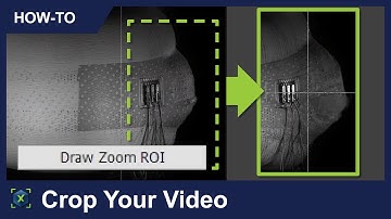 Crop Your Video | ProAnalyst How-To