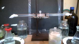 WP 20141008 023 UPLB BIO 1- Diffusion Laboratory Activity