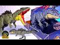 NEW Colossal Chomp Giganotosaurus! Jurassic World Survival Giganotosaurus Collection