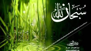 095 Surah Al-Teen Full with Malayalam Translation screenshot 3