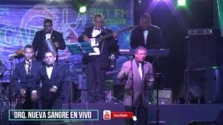 NUEVA SANGRE EN VIVO 2019 Desde Metapan