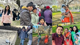 மாமியாருடன் Cherry Blossom 🌸 |We went to Cherry Blossom with my mother in law |walk to be Remembered