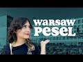 Get a PESEL number in Poland as an International Student! | Vistula University
