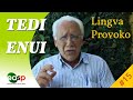 Lingva Provoko n-ro 15 (tedi x enui)