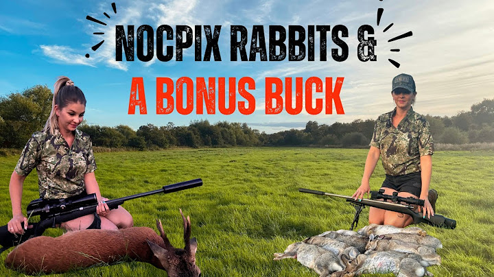 Nocpix Rabbit Shooting & A Bonus Buck | Nocpix Bolt | Uk Hunting