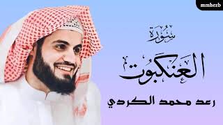 سورة العنكبوت كاملة القارئ رعد محمد الكردي