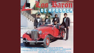 Video thumbnail of "Los Barón de Apodaca - Y Por Esa Calle Vive"