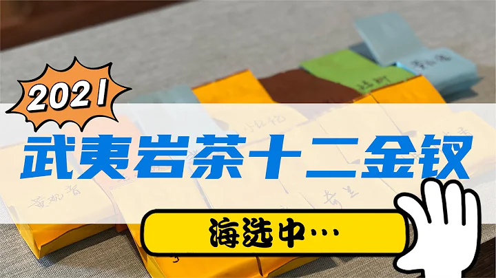 【小陳茶事】2021武夷岩茶十二金釵揭幕，海選首場，村姑陳竟把它淘汰了！ - 天天要聞