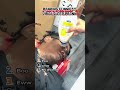 Try not to laugh! #funny #ranking #prank