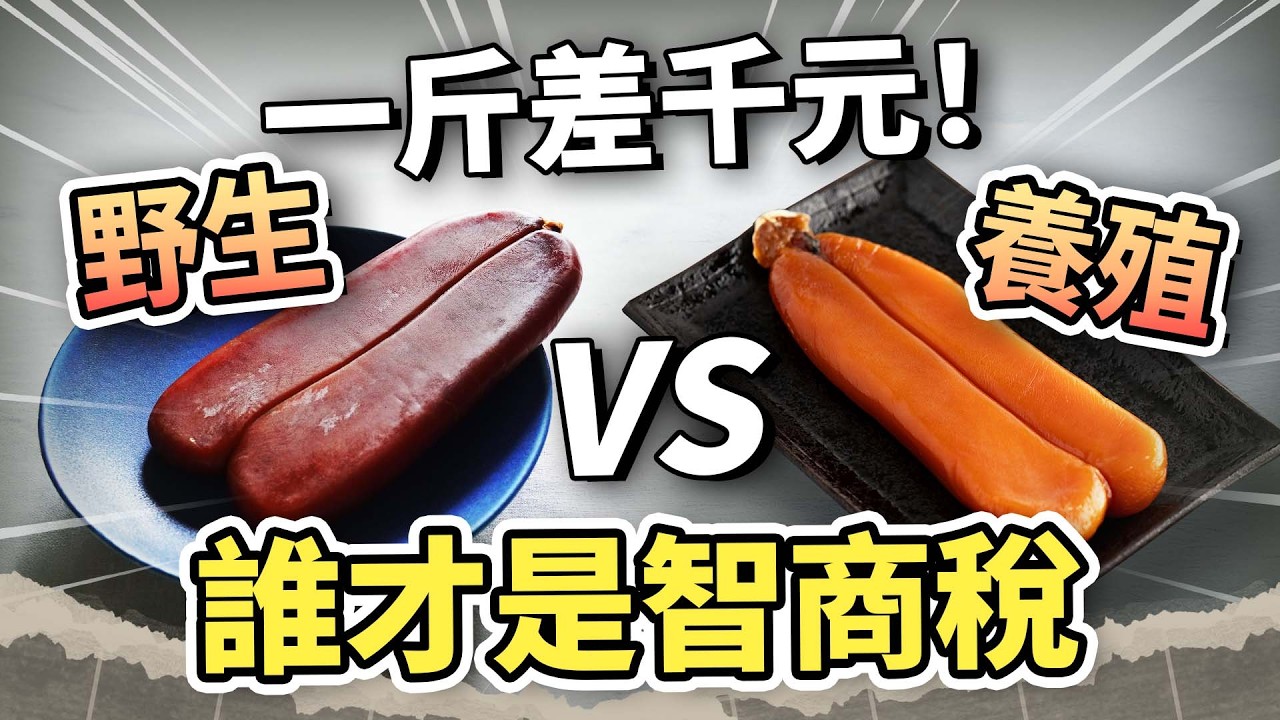 它是海裡的帕馬森起司！別再誤會烏魚子不好吃，掌握「55度美味公式」，讓家裡的配角變身頂級旨味主秀｜#吃這個好不好 #史達魯 EP26