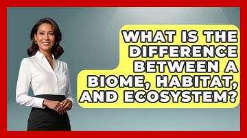 What Is The Difference Between A Biome, Habitat, And Ecosystem? - Explaining Ecology