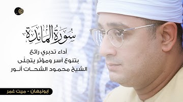 ( سورة المائدة ) أداء تدبري رائع بتنوع آسر ومؤثر يتجلّى الشيخ #محمود_الشحات  | ابونبهان ميت غمر
