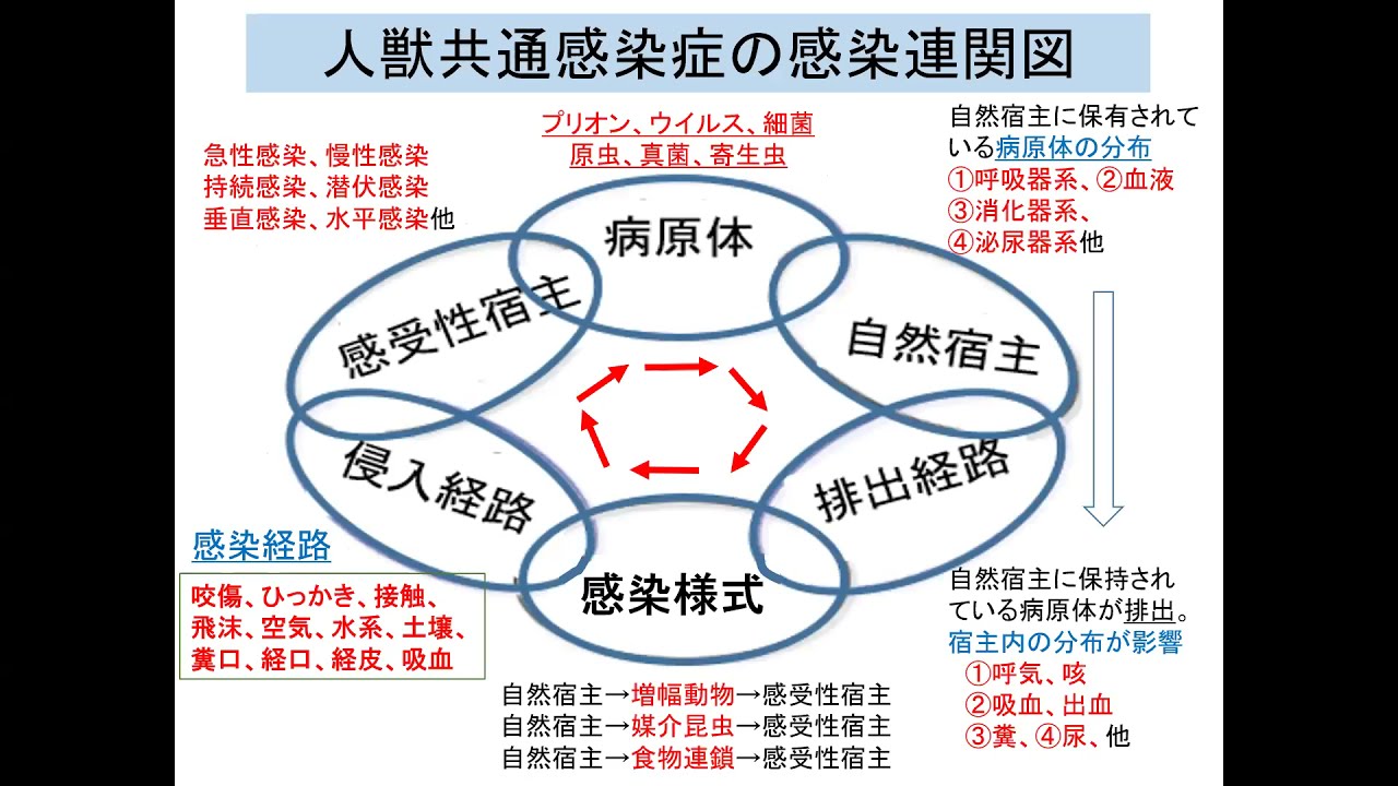 人獣共通感染症12回対面 edit - YouTube