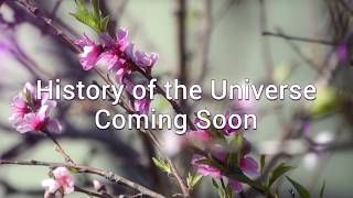 History of the Universe @isthereanythathasnt3