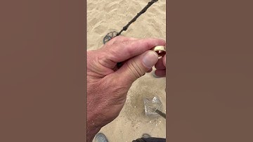 The Manticore strikes again, 14k style! #metaldetecting #treasurehunting #california