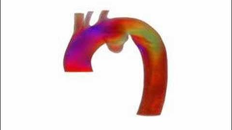 Fluctuations of PBVR with respect to subpixel levels