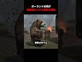 ポーランドの熊が階級章をつけた衝撃の理由