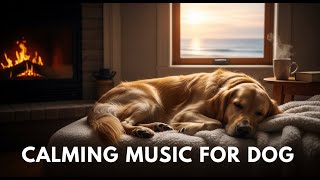 12 hours Dog Anxiety Relief Music : Help Your Furry Friend Relax & Sleep Soundly All Night Long 🐕💤