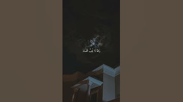 تلاوة خاشعة جميلة بصوت ماهر المعيقلي ارح سمعك ٪؜•#ماهر_المعيقلي