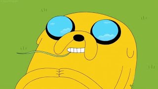 jake once said