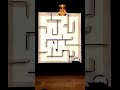 Race of smal Bug 🐛 and Bombardier #bugs #games #shorts #fyp