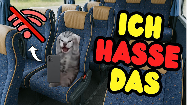 30 Dinge DIE JEDER HASST😩 (Aber als Katzen)