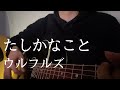 【弾き語り】たしかなこと / ウルフルズ (cover)