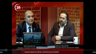 Kanal26 Tekno Analiz Hayvancılıkta Dün Ve Bugün