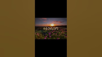 سوره الكافرون😌 #الشيخ ماهر المعيقلي تلاوه جميله جداً 🌹