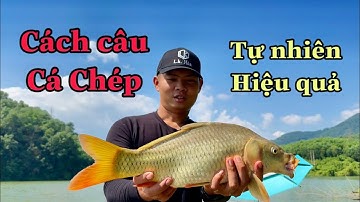 Cách Câu Cá Chép Tự Nhiên Hiệu Quả Cao