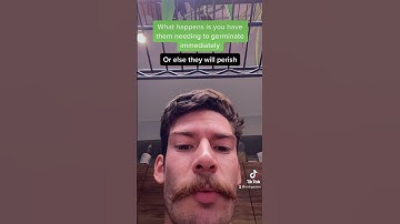 Plantlets: Recalcitrant Seeds