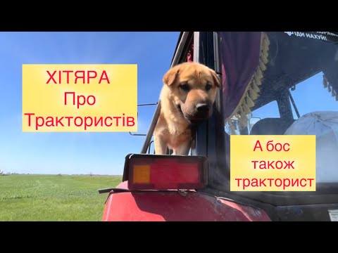 ХІТЯРА Мілфи люблять трактористів