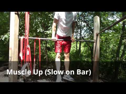 Back Lever and Muscle Up