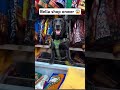 PoV: Meet our new joiner Labrador dog 🐶❤️ #dog #shortsfeed #labrador #short #shorts #ytshorts