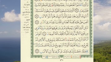 الجزء الحادي والعشرون - الحزب 43 - الربع الرابع - سورة الزمر 8 حتى 31
